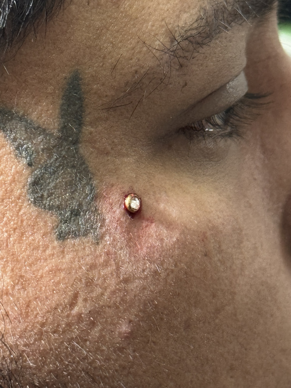 Facial piercing at Dead Hamster Tattoo Studio
